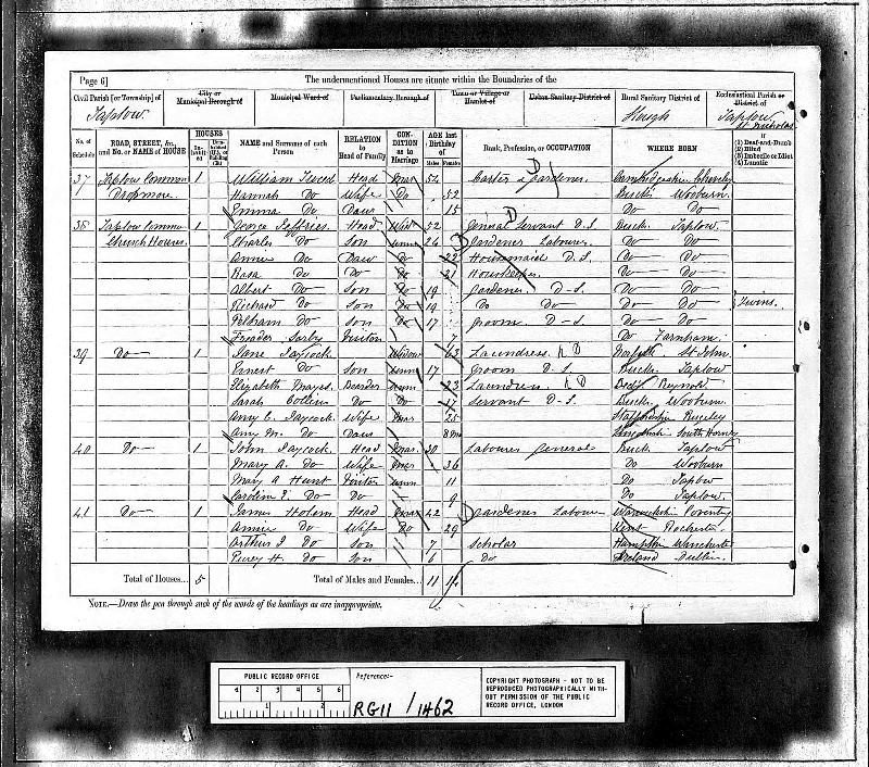 Tweed (Hannah nee Rippington) 1881 Census